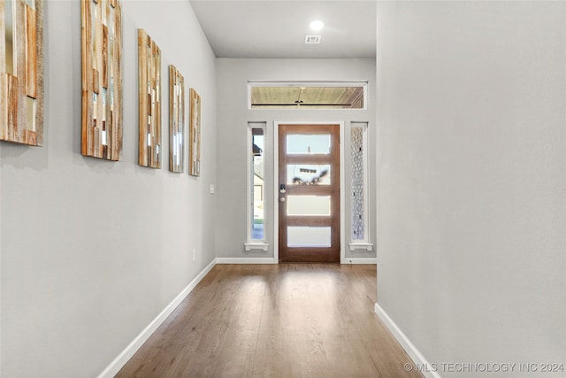 foyer featuring wood-type flooring