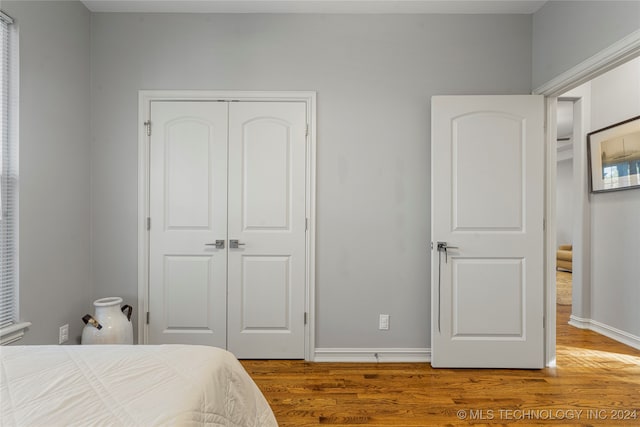 bedroom featuring wood-type flooring and a closet