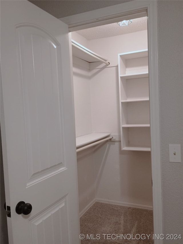 spacious closet featuring carpet