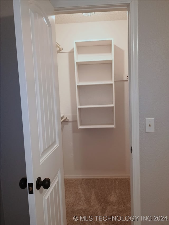 spacious closet with carpet flooring