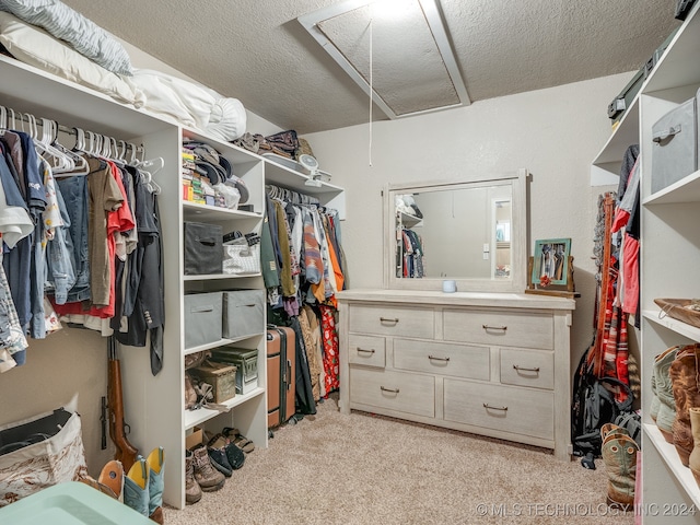 walk in closet with light colored carpet