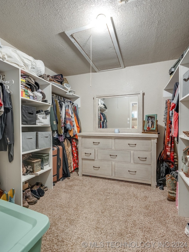 spacious closet featuring light carpet