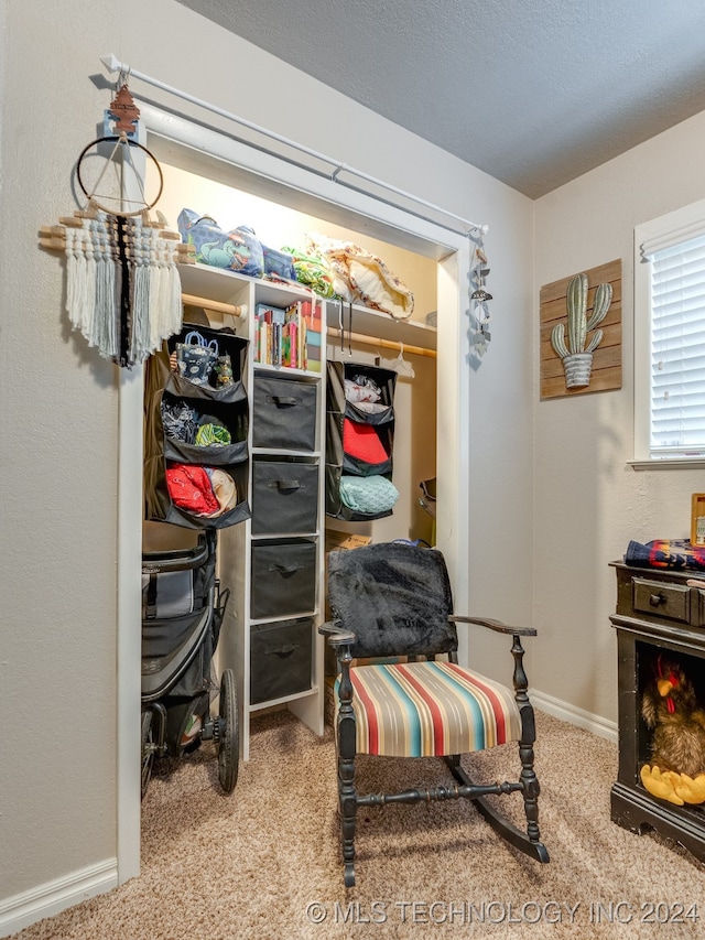 walk in closet featuring carpet flooring