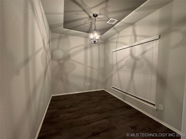 spacious closet featuring dark wood-type flooring