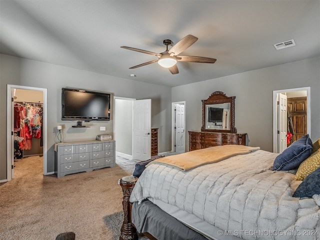 carpeted bedroom featuring ceiling fan, a walk in closet, and a closet