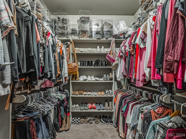 walk in closet with carpet