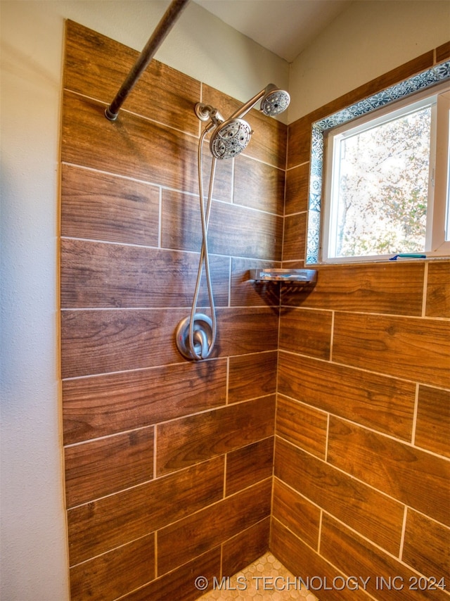 bathroom with a shower