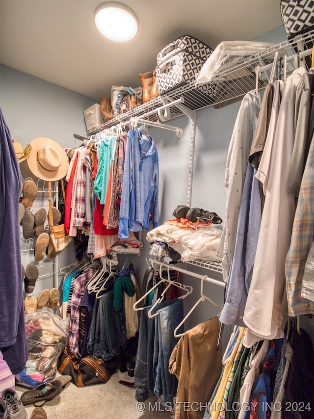 spacious closet with carpet