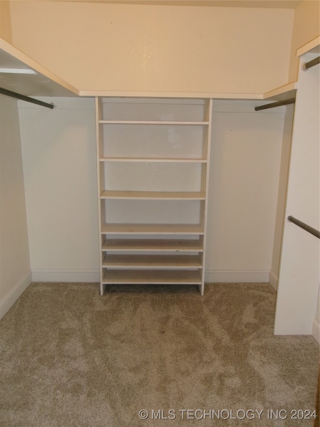 spacious closet with carpet floors