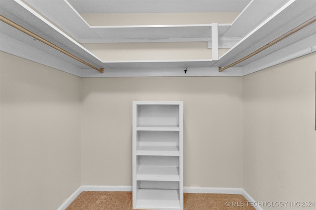 spacious closet with carpet