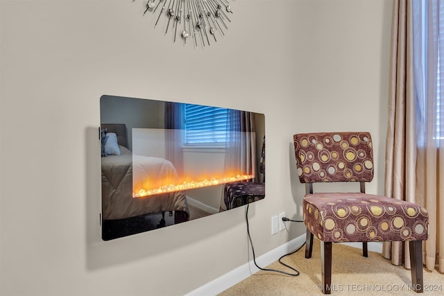 living area with carpet floors