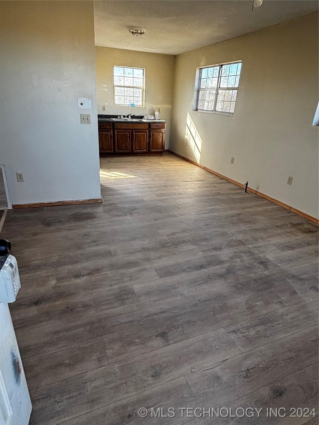 interior space with sink, a healthy amount of sunlight, and hardwood / wood-style flooring