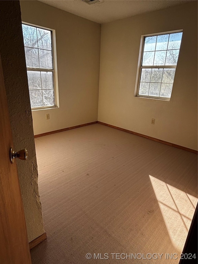 empty room with carpet flooring and a textured ceiling