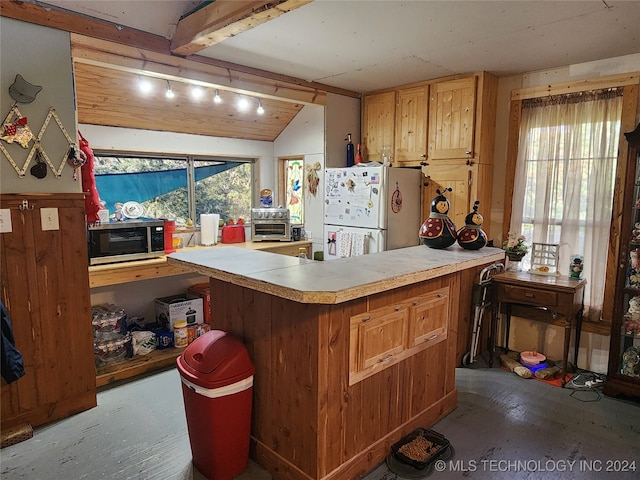 kitchen with a healthy amount of sunlight, vaulted ceiling, and white refrigerator