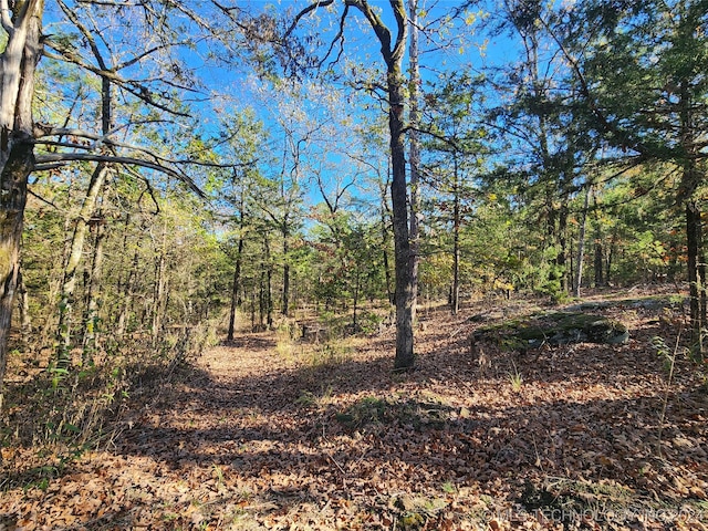 view of local wilderness