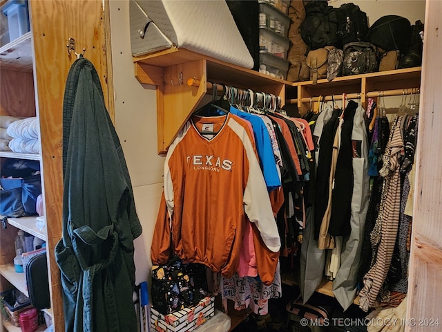 view of spacious closet