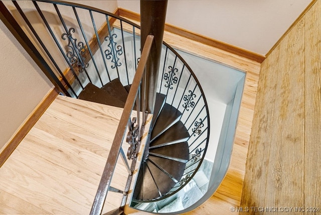 staircase with hardwood / wood-style floors