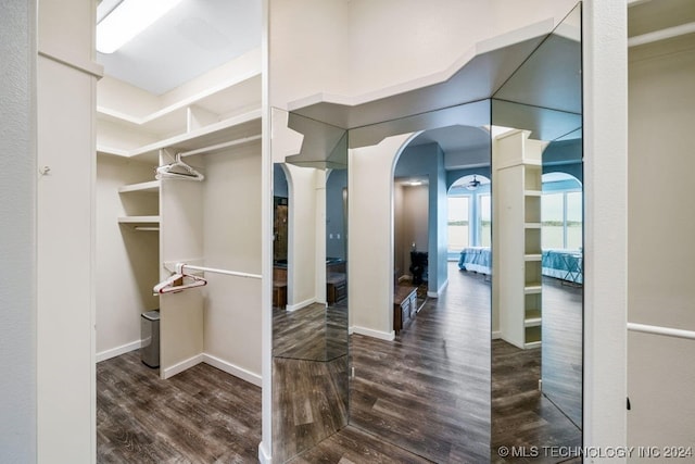 walk in closet with dark hardwood / wood-style floors