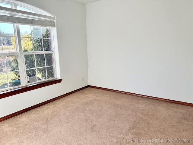 view of carpeted spare room