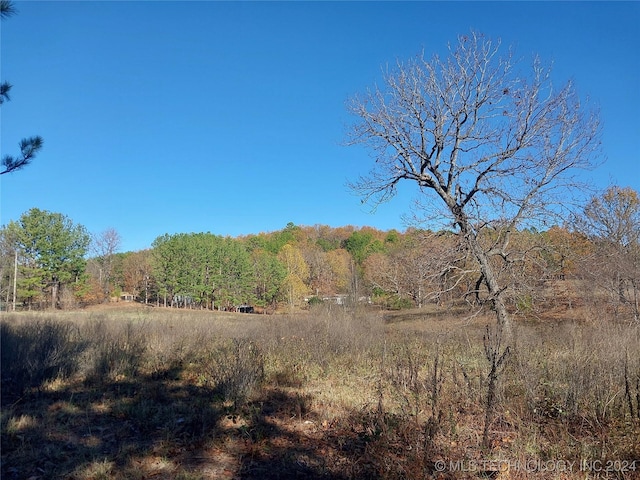 7795 Kenwood, Salina, OK 74365 - photo 2