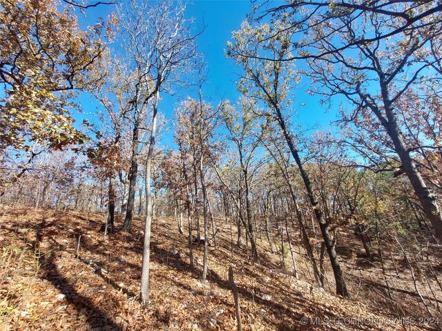 7795 Kenwood, Salina, OK 74365 - photo 5