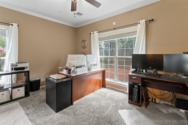 carpeted home office featuring ceiling fan and ornamental molding