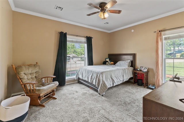 carpeted bedroom with multiple windows, ceiling fan, and ornamental molding