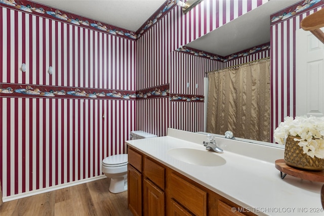 bathroom featuring vanity, wood-type flooring, and toilet