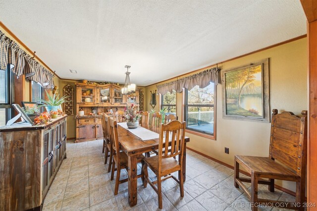 dining space with crown molding and a textured ceiling