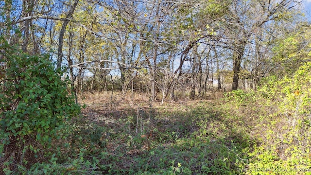 view of local wilderness