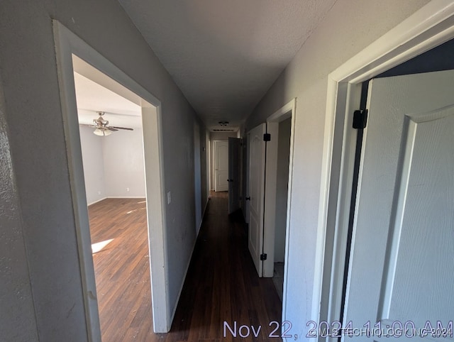 corridor with dark hardwood / wood-style flooring