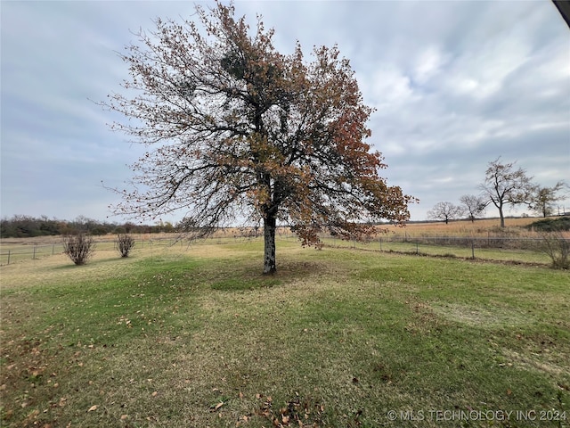 view of yard with a rural view