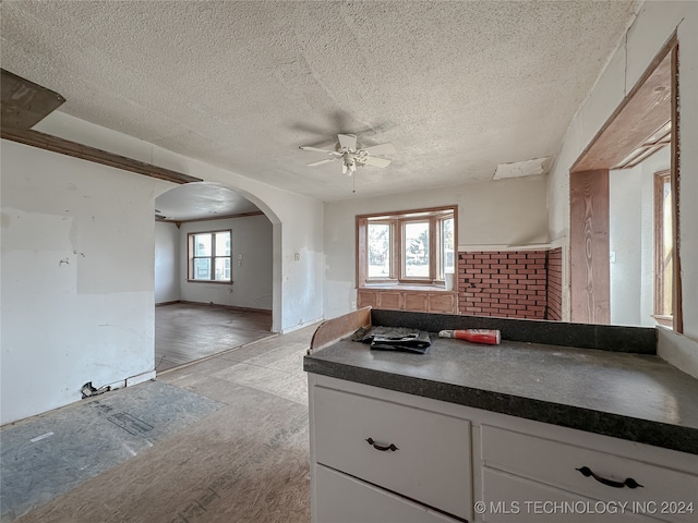 kitchen featuring white cabinets, plenty of natural light, light hardwood / wood-style floors, and ceiling fan