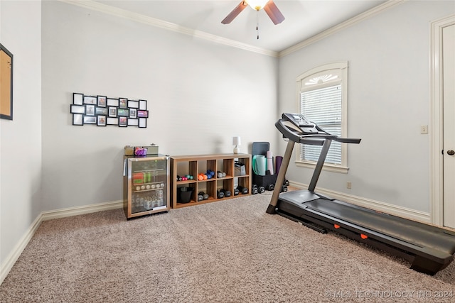 workout room featuring carpet flooring, ceiling fan, crown molding, and beverage cooler