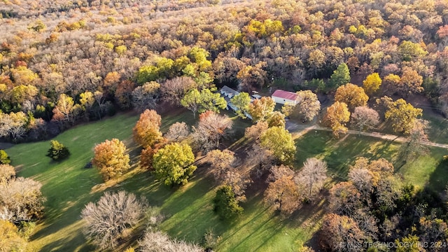 bird's eye view