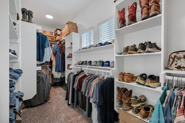 spacious closet featuring carpet