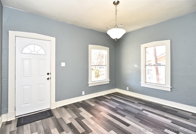 foyer entrance with dark hardwood / wood-style flooring and a wealth of natural light