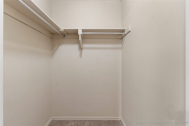 walk in closet with carpet flooring