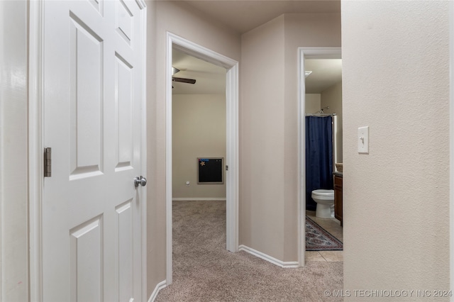 hallway with light carpet