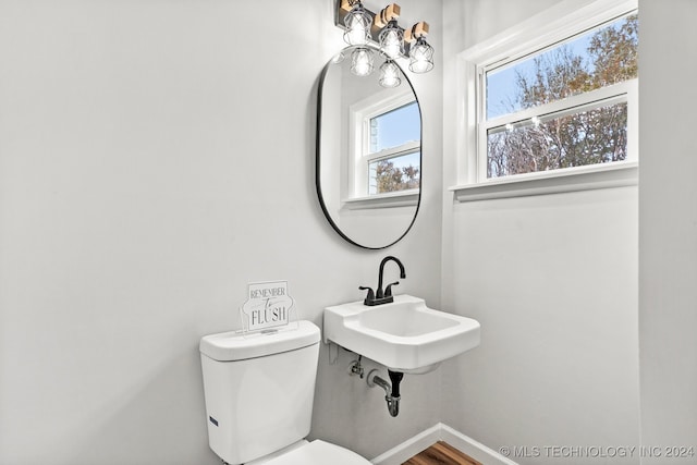 bathroom with hardwood / wood-style flooring and toilet