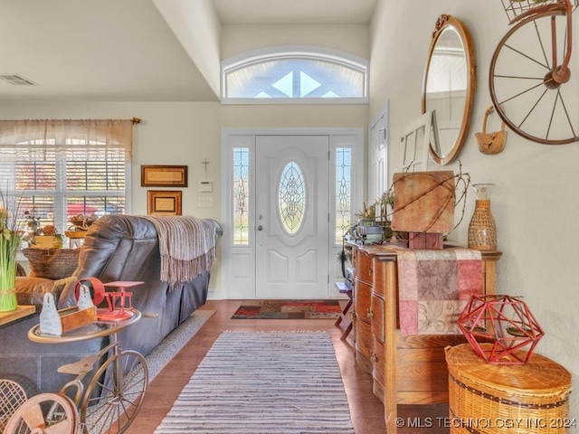 foyer entrance featuring hardwood / wood-style flooring, a towering ceiling, and a wealth of natural light