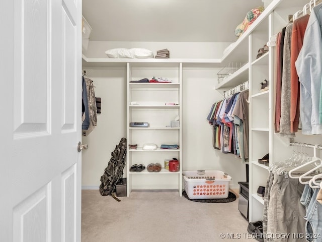 spacious closet with light carpet