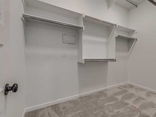 spacious closet with carpet flooring