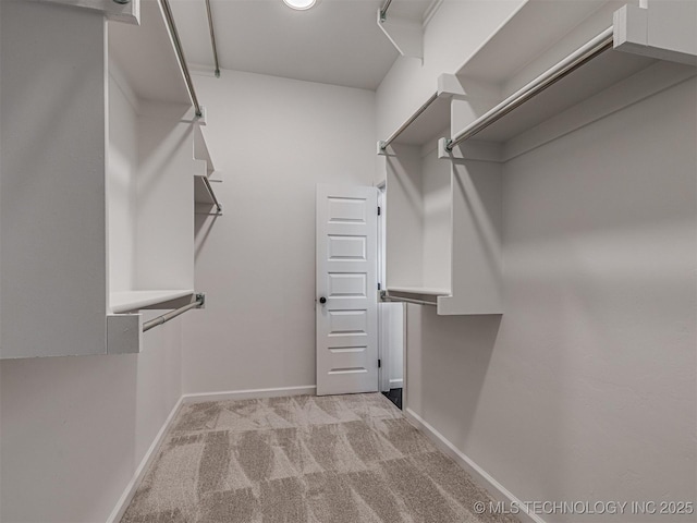 spacious closet featuring light carpet