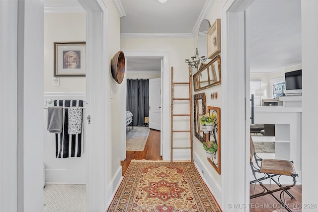 hallway featuring wood-type flooring and crown molding