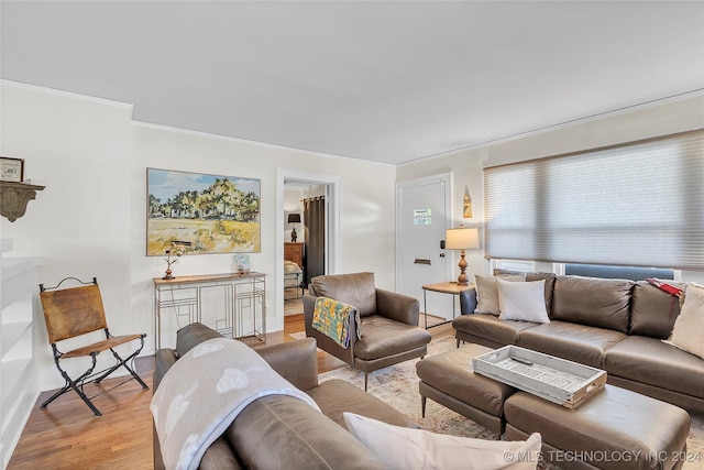 living room featuring light hardwood / wood-style floors and ornamental molding