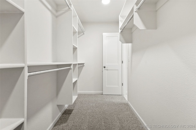 walk in closet featuring carpet flooring