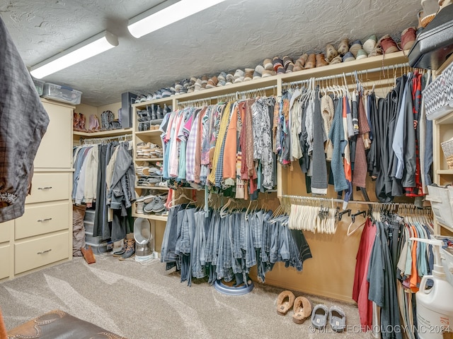 walk in closet featuring carpet flooring