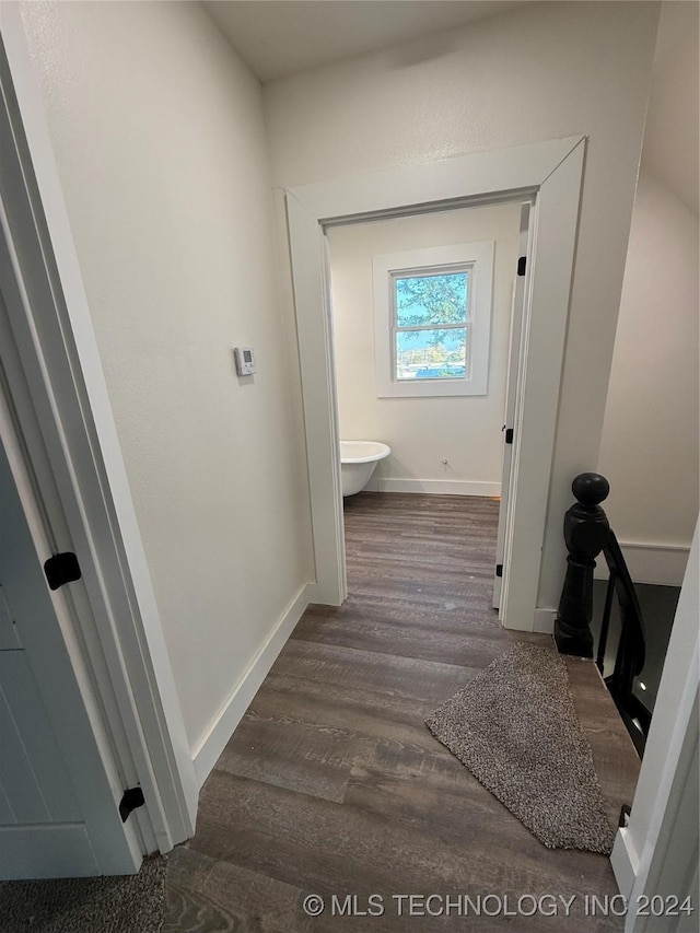 hallway with dark wood-type flooring