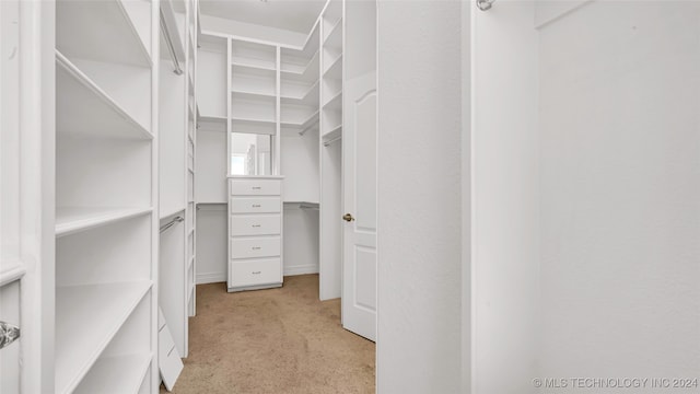 spacious closet featuring light colored carpet